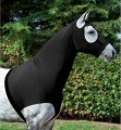 LEMIEUX STRETCH HOOD